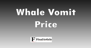 whale-vomit-price
